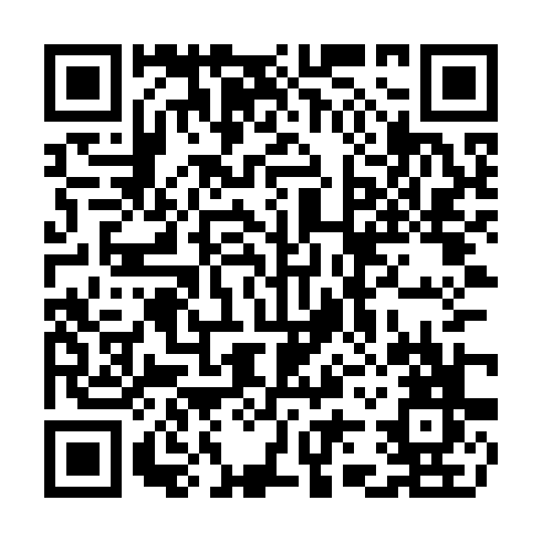 QR code for CYR913