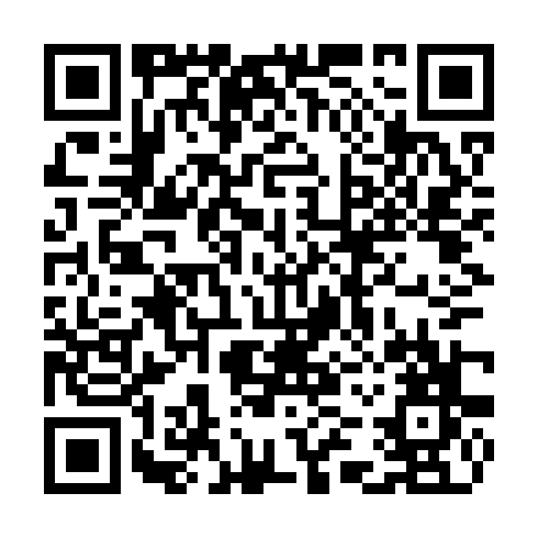 QR code for CYT 386