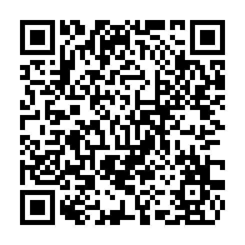 QR code for CYZ 384