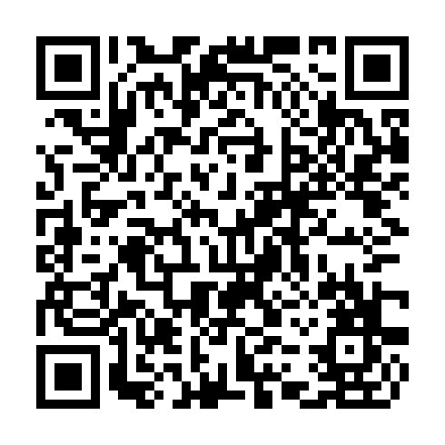 QR code for CYZ 393