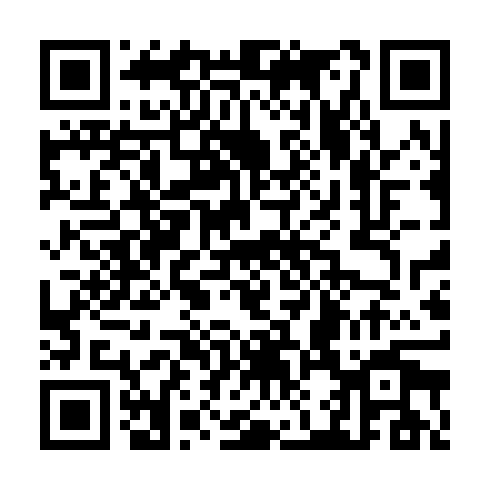 QR code for plate CZB 513