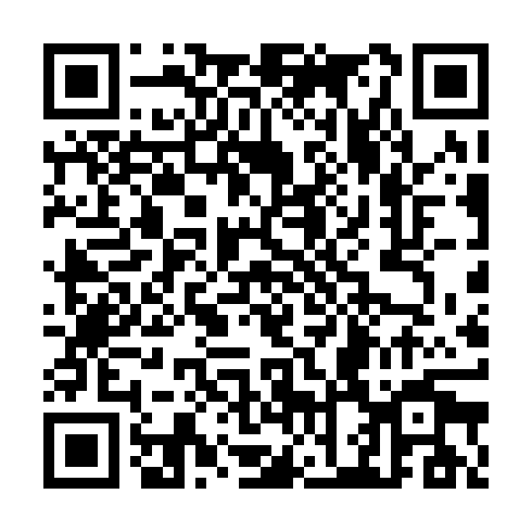 QR code for plate CZE 613
