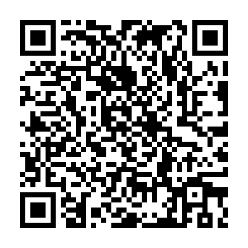 QR code for plate CZE 875