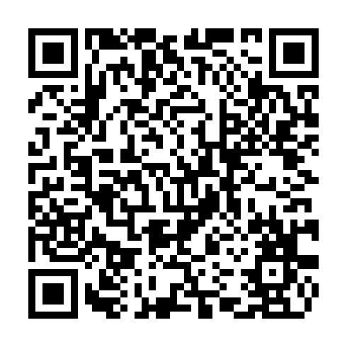 QR code for CZH 386