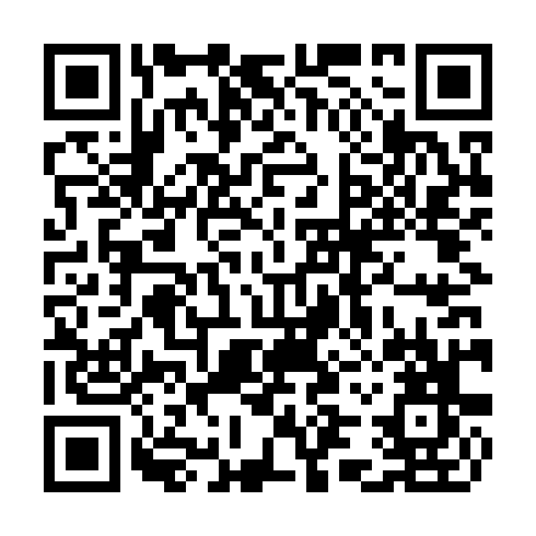 QR code for plate CZH 395