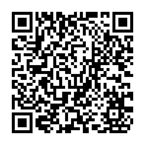 QR code for plate CZH 875