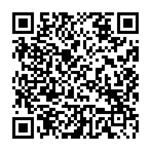 QR code for CZI 494