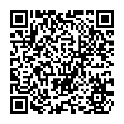 QR code for plate CZI 249