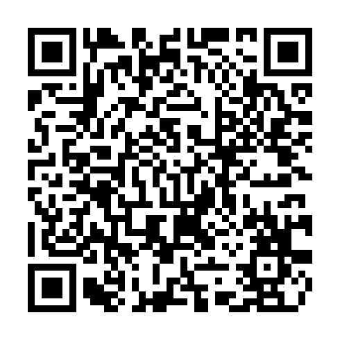 QR code for plate CZI 509