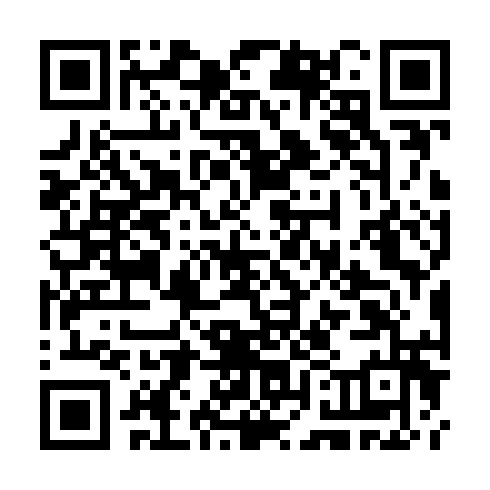 QR code for plate CZI 689