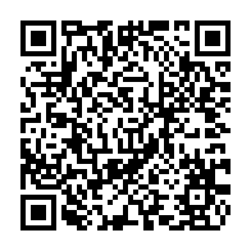 QR code for plate CZI 788