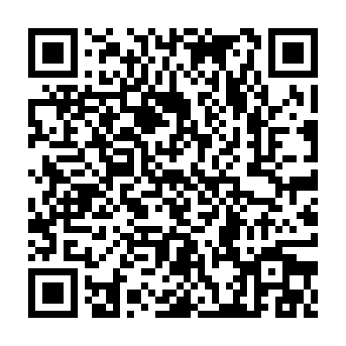 QR code for CZK 991