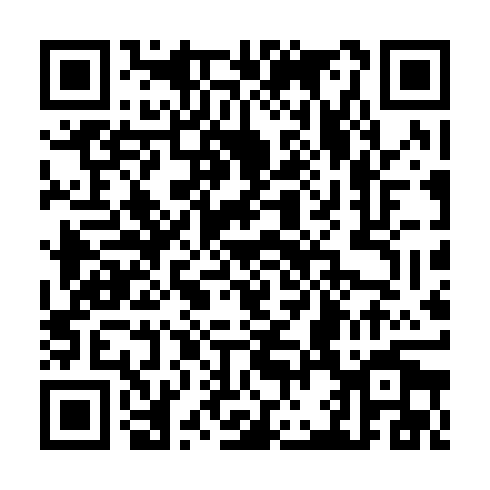 QR code for plate CZK 393