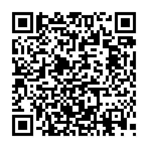 QR code for CZM 868