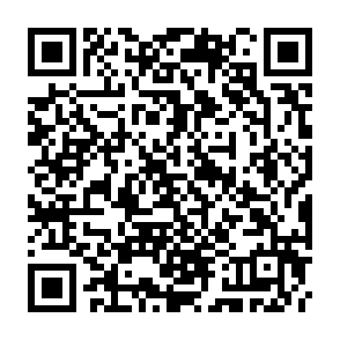 QR code for CZN594