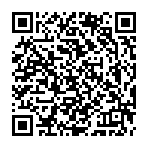 QR code for plate CZN 717