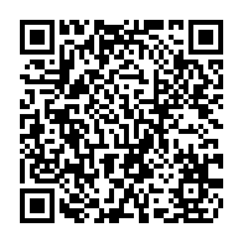 QR code for CZO 113