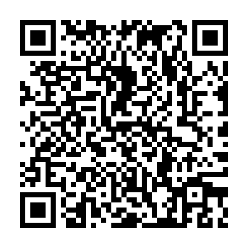 QR code for CZP 221
