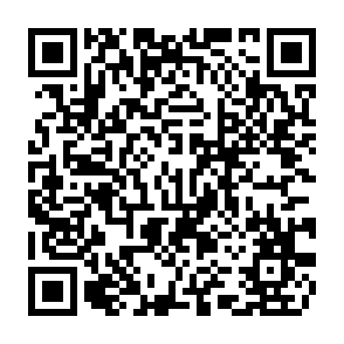 QR code for CZP 411