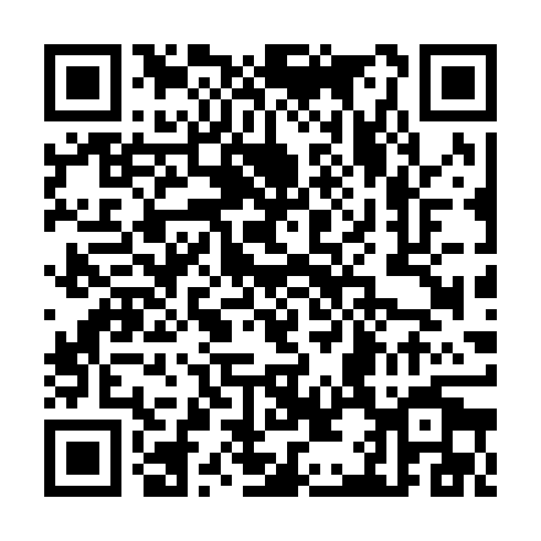 QR code for CZS399