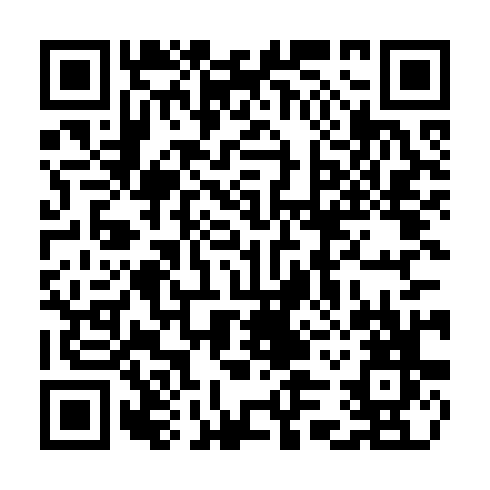 QR code for CZS401
