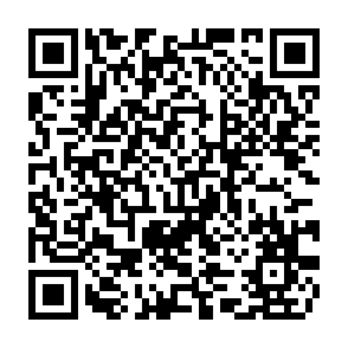 QR code for CZT 013
