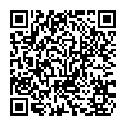 QR code for CZT313