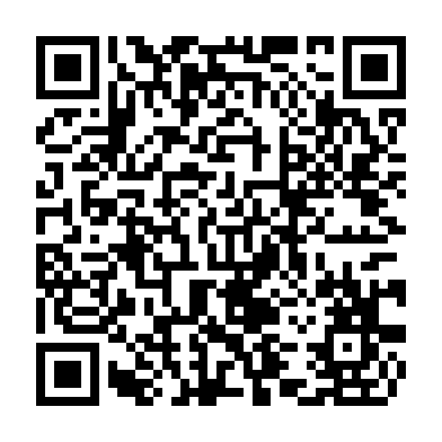 QR code for CZT399
