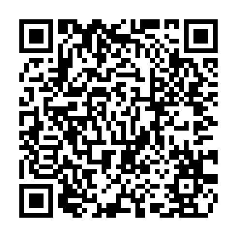 QR code for plate CZW 700