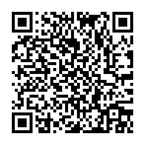 QR code for CZX 991