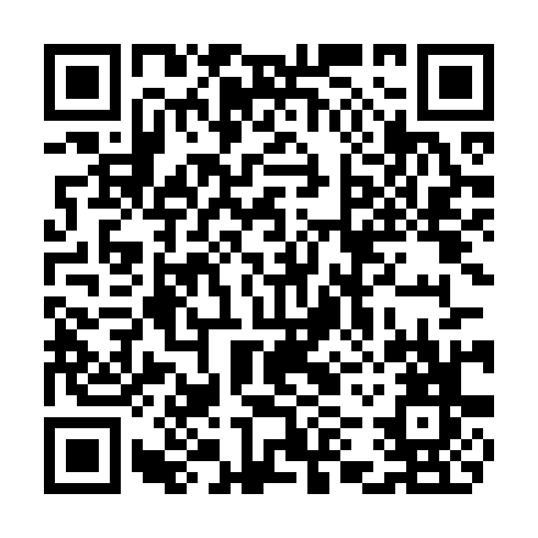QR code for plate CZY 061