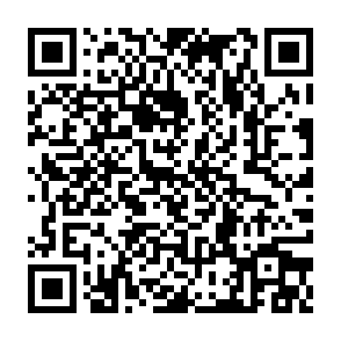 QR code for plate CZY 095
