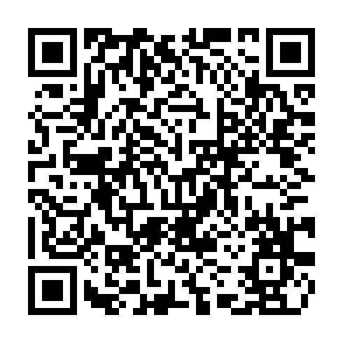 QR code for CZY303