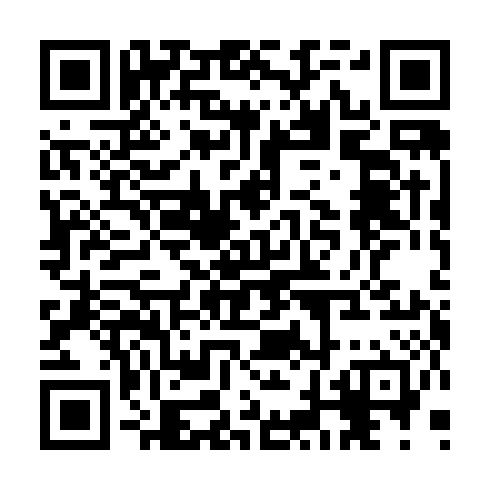 QR code for JAE 333