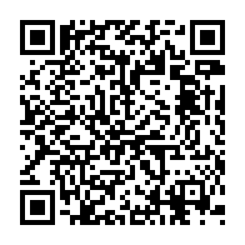 QR code for JAL 156