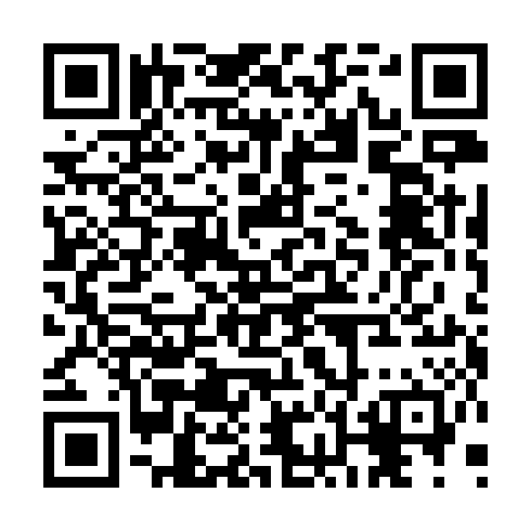 QR code for JAL 339