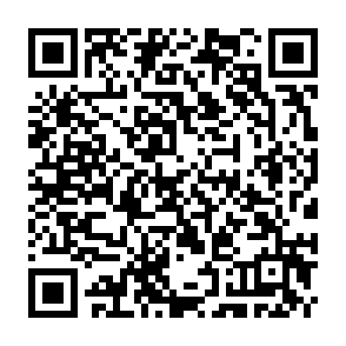 QR code for JAL 376