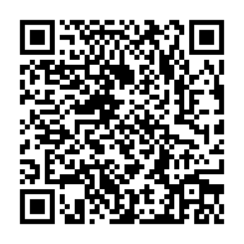 QR code for JAL 385