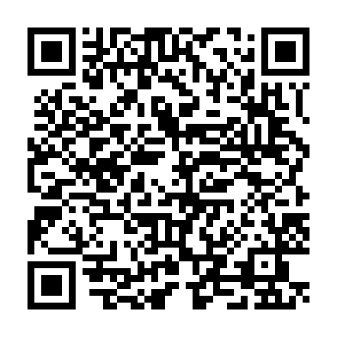 QR code for plate JAY 383