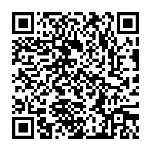 QR code for JIE308