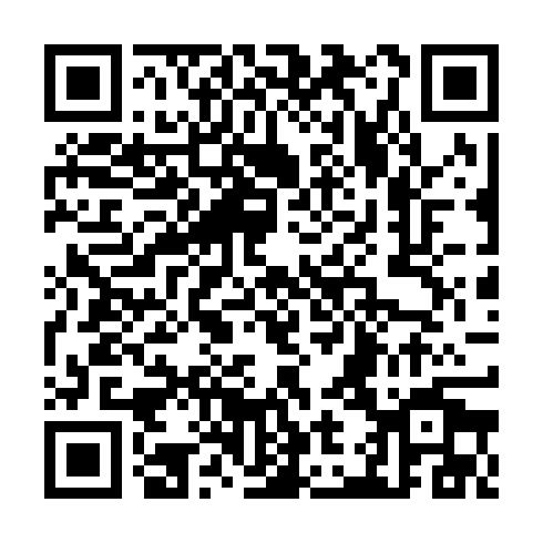 QR code for JIS 291