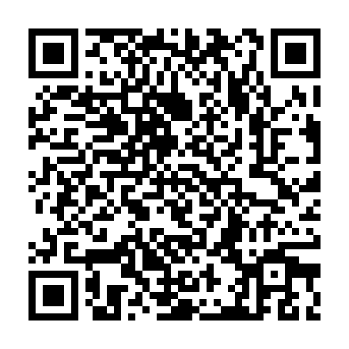 QR code for JMM 029