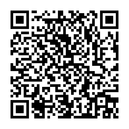 QR code for JUN 491