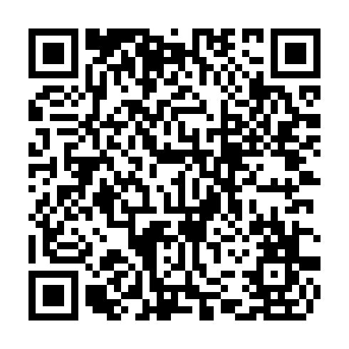 QR code for TAI 991