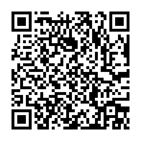 QR code for TAV 999