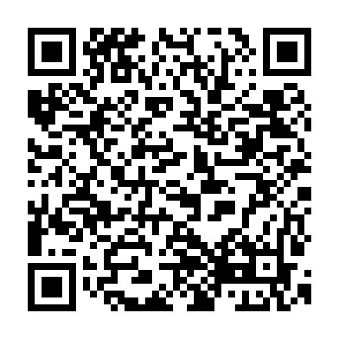 QR code for plate TCH 396