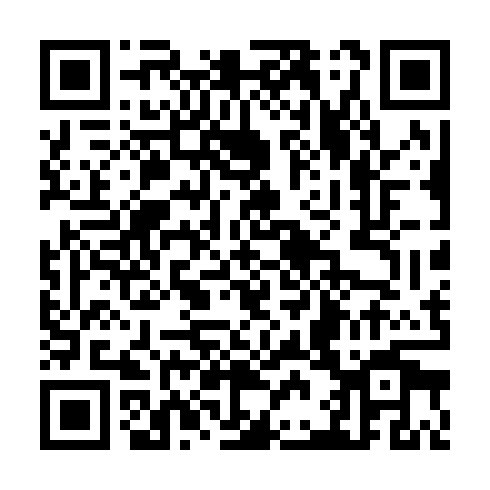 QR code for TDG 343
