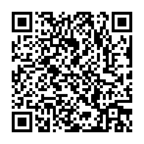 QR code for TDG318