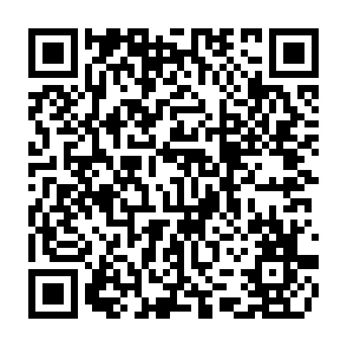 QR code for TDG741