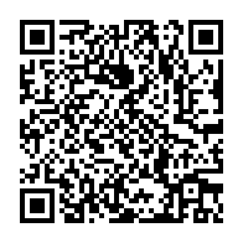 QR code for plate TDG 955